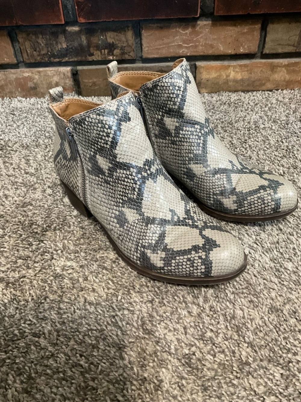 Lucky Brand Basel Snake-Print Ankle Booties in Beige and Gray 8M